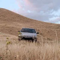 فروش ۴۰۵ نقره ای