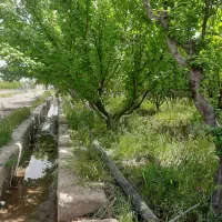 فروش اقساطی باغچه ۳۰۰ متری سند تک برگ فرارت|فروش زمین و ملک کلنگی|شهریار, حصار ساتی|دیوار