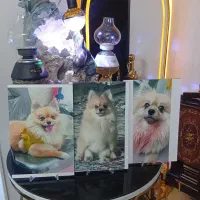 نظافتچی خانم