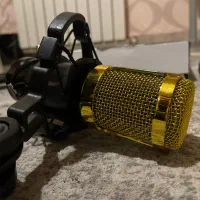 میکروفن کندانسر مدل legendary vocal|آلات موسیقی|ساری, |دیوار