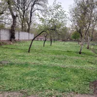 باغ-سرسبز-اسکو-تبریز