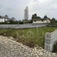 250-متر-زمین-پارک-جنگلی-نور-سند-تک-برگ