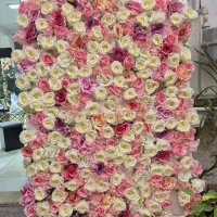 گل خارجی ۱۲۰در ۷۰