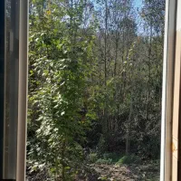 اجاره راه جدا / سعدی / ویو دار|اجارهٔ آپارتمان|لاهیجان, کوه بیجار|دیوار