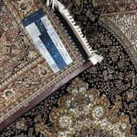 فرش ۶ متری|فرش|رشت, دباغیان|دیوار