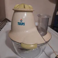 خرد کن و آسیاب برقی