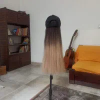 کلاه گیس کلاهدار