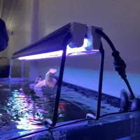 لامپ تخصصی آکواریوم مهتابی