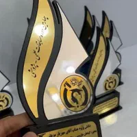 تندیس و لوح تقدیر با ظرف مینا کاری|مجسمه، تندیس، ماکت|مشهد, امام رضا (ع)|دیوار