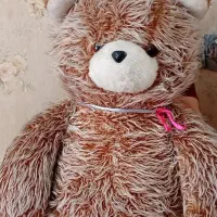 خرس
