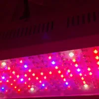 پروژکتور رشد گیاه