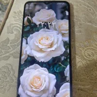 گوشی a22 5G
