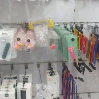 قفسه ام دی اف فروش فوری درحد نو|کتابخانه، شلف، قفسههای دیواری|سلمانشهر, |دیوار