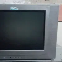 تلویزیون