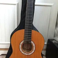 فروش گیتار / مدل پارسی M2