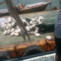 قایق پرسه کمات شریکی