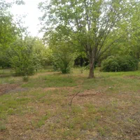 ویلا باغ الشتر|اجارهٔ کوتاهمدت ویلا و باغ|الشتر, |دیوار