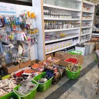 صندوقدار خانم و کارگر ساده آقا