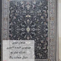 ۱۵ عدد فرش ۱۲متری|فرش|دزفول, |دیوار