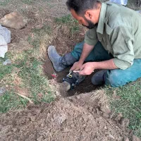 طرح گلکاری وهرسکاری ،علف زنی باغ ،ویلا