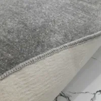 پالازموکت نقره ای