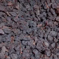 کشمش دشمن زیاری درجه۱|خوردنی و آشامیدنی|شهرکرد, |دیوار