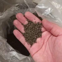 شن بستر پلنت آکواریوم