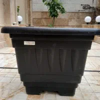 گلدان بزرگ ۸۰در۸۰