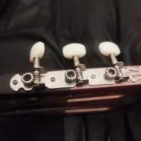 گیتار نو نو معاوضه با آیفون 7.6..128گ