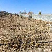 فروش-زمین-باغ-شهری