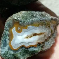 سنگ شجر عقیق سلیمانی|کلکسیون اشیاء عتیقه|تایباد, |دیوار