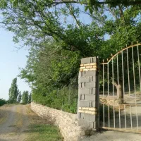 فروش و معاوضه باغ
