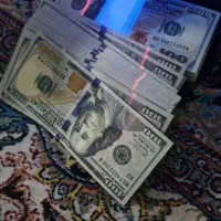 دلاروپول تئزیینی وکلکسیونی