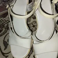 کفش مجلسی|کیف، کفش، کمربند|قم, شهر قائم|دیوار