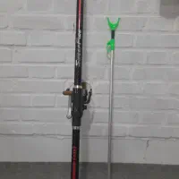 لنسر ماهیگیری