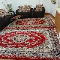 اجاره روزانه ۹۰ متری در کوی طالقانی