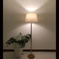 کنارسالنی ایستاده