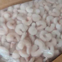 میگو|ماهی|اهواز, نادری|دیوار