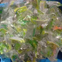 سوزن چرخ راسته اورگان|لوازم خیاطی و بافتنی|تهران, شهید رجایی|دیوار