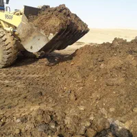 کود حیوانی گاوی وگوسفندی