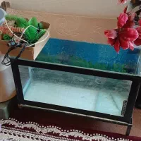 آکواریوم شیشه ای