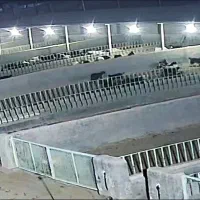 رهن و اجاره مجتمع پرورش دام استان اصفهان بادرود|اجارهٔ دفتر صنعتی، کشاورزی، تجاری|بادرود, |دیوار