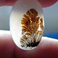 عقیق شجر قاین|جواهرات|اردبیل, |دیوار