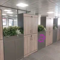 آگلونما بلک/پیرومیا|گل مصنوعی|تهران, بازار|دیوار