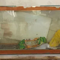 آکواریوم بزرگ