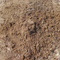 کود مرغی خشک شده