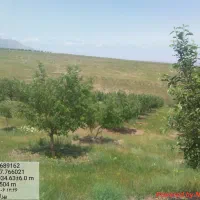 هرس کاری وطراحی فضای سبز|خدمات باغبانی و درختکاری|تبریز, |دیوار