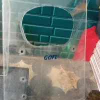 طلق وسایبان موتور