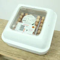 جوجه کشی 48 عددی +اینورتر|لوازم جانبی حیوانات|کرمان, |دیوار