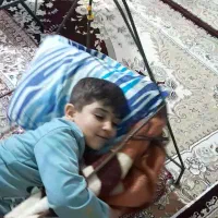 کهواره ی فلزی بلبرینگ دار